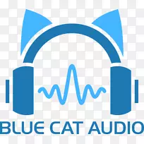 Parsons音频有限责任公司猫录音和复制音频插入式虚拟演播室技术-cat