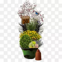 花盆容器花园植物.植物