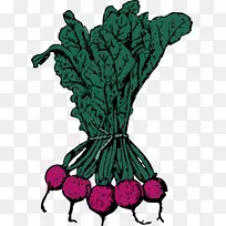 甜菜剪贴画图形甜菜蔬菜