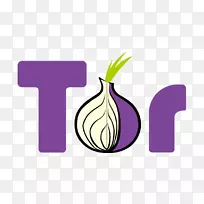Tor浏览器洋葱路由web浏览器黑暗的网络洋葱
