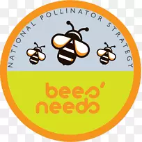 资讯蜜蜂爱尔兰乡村管理计划昆虫
