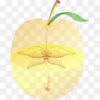 水果食品桃夹艺术png图片.解剖