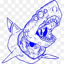 线条艺术鲨鱼美学画-鲨鱼