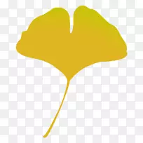 金毛树插图秋叶彩色图像