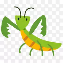 螳螂昆虫插图儿童摄影.昆虫