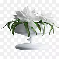 花卉设计花盆花瓶png图片.花卉