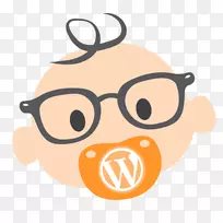wp形成Wordpress yast搜索引擎优化插件-WordPress
