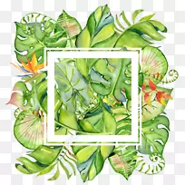 图形t恤叶水彩画袋手绘花边框架