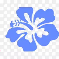 夏威夷语剪辑艺术边框夏威夷芙蓉茉莉花冠