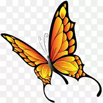 蝴蝶图形剪辑艺术插图png图片蝴蝶
