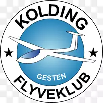 Kold Flyveklub clubhus微信微型节目数字营销品牌-管理人员大纲