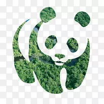 大熊猫哥德堡艺术博物馆像素艺术博物馆-世界自然基金会符号