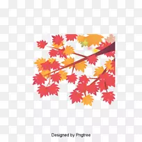 秋季设计图像枫叶png图片.秋季
