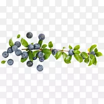 欧洲蓝莓-免费蓝莓