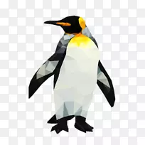 企鹅王嘴-动物学图