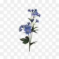 百里香切花植物茎-麦芽汁