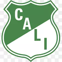作者声明：Deportivo Cali Copa Columbia Millonaris F.C.托利玛