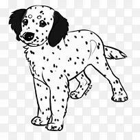 达尔马提亚犬小狗繁殖同伴狗-非运动团体-小狗