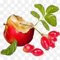 苹果巴巴多斯樱桃水果图片-苹果