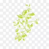 草本植物设计png图片绿叶