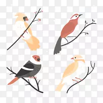 鸟类欧亚喜鹊图形设计-幼鸟