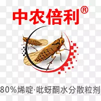 昆虫剪贴画线害虫杀虫剂