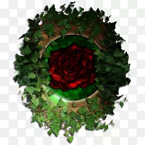 花园玫瑰艺术家-负鼠