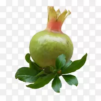 水果食品石榴便携网络图adobe Photoshop-水果