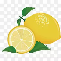 柠檬png图片关键酸橙水果可食用水果