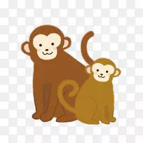 猴子插图图片灵长类剪贴画-猴子