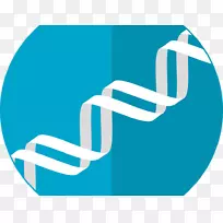 遗传学基因治疗遗传试验