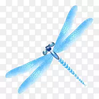 蜻蜓昆虫蓝色png图片rgb彩色模型-蜻蜓