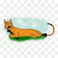 红狐猫插画艺术猫