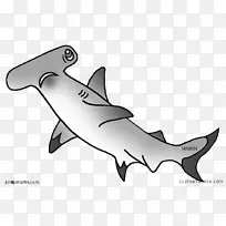 大白鲨剪贴画锤头鲨短鳍鲨
