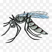 黄热病蚊媒卡通-大型蚊子