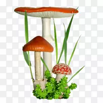 蘑菇剪贴画博客-蘑菇