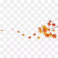 枫叶图像png图片秋天-枫叶