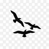 鸟类剪贴画海鸥轮廓形象-线虫山