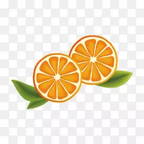 图形插图png图片橘子