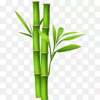 剪贴画竹子png图片图像桌面壁纸竹子