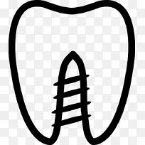 牙科人类牙齿医学