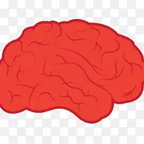 剪贴画大脑png图片图像神经系统-大脑