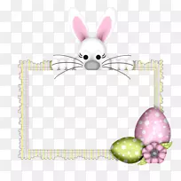 复活节兔子复活节彩蛋摄影兔子