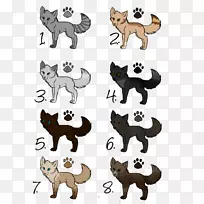 猫狗熊插图-猎豹爪子解剖学