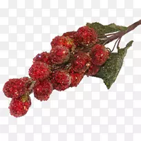 罗莓中心博客tayberry粉红胡椒-圣诞花
