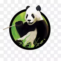 成都大熊猫繁殖基地四川大熊猫保护区形象熊
