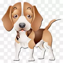 猎犬金毛猎犬国王查尔斯猎犬-可爱的小狗