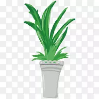 棕榈树花盆植物插图