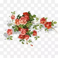 花园玫瑰，鲜花花束，生日花束设计-装饰