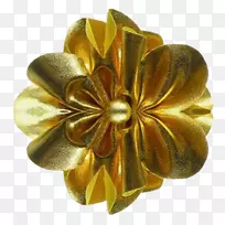 png图片设计图像花瓣透明花